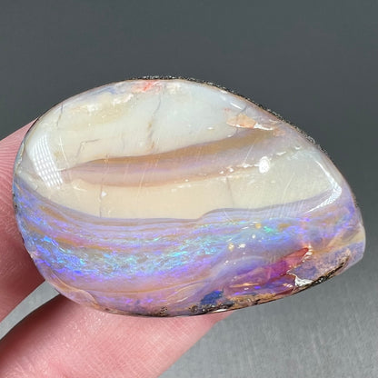A loose, drop shaped Australian boulder opal from Quilpie Mining District.