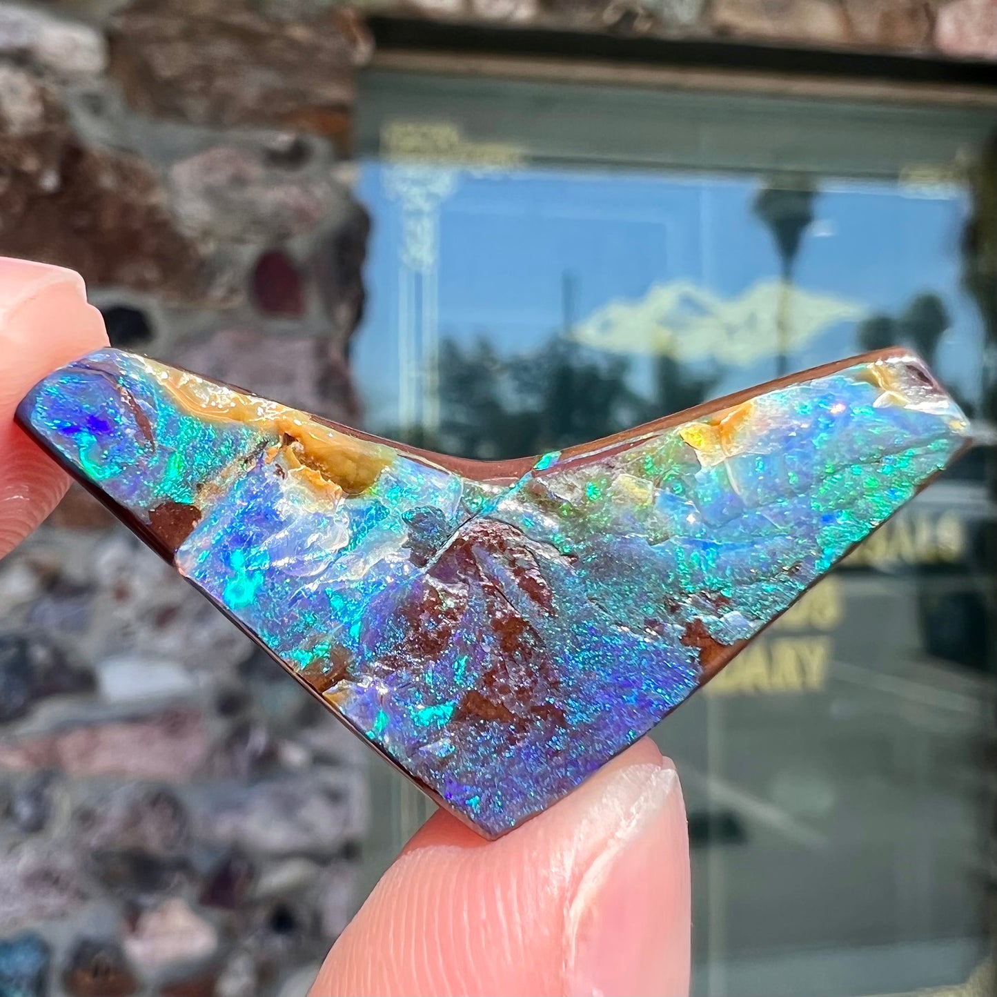 A loose, boomerang shaped boulder opal stone from Quilpie, Australia.  The stone is predominantly blue and green.