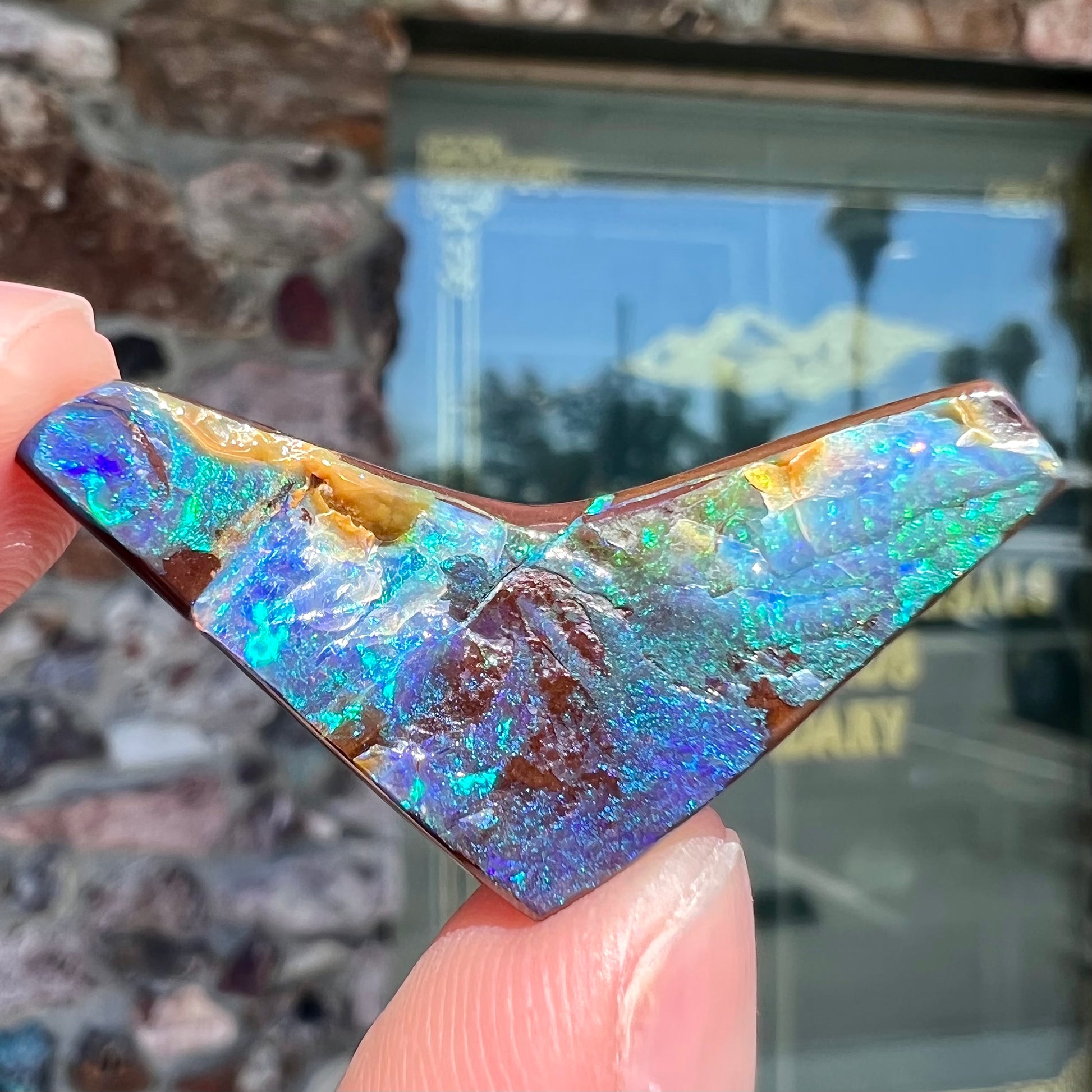 A loose, boomerang shaped boulder opal stone from Quilpie, Australia.  The stone is predominantly blue and green.