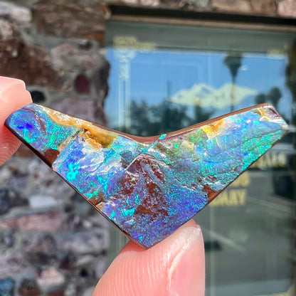 A loose, boomerang shaped boulder opal stone from Quilpie, Australia.  The stone is predominantly blue and green.
