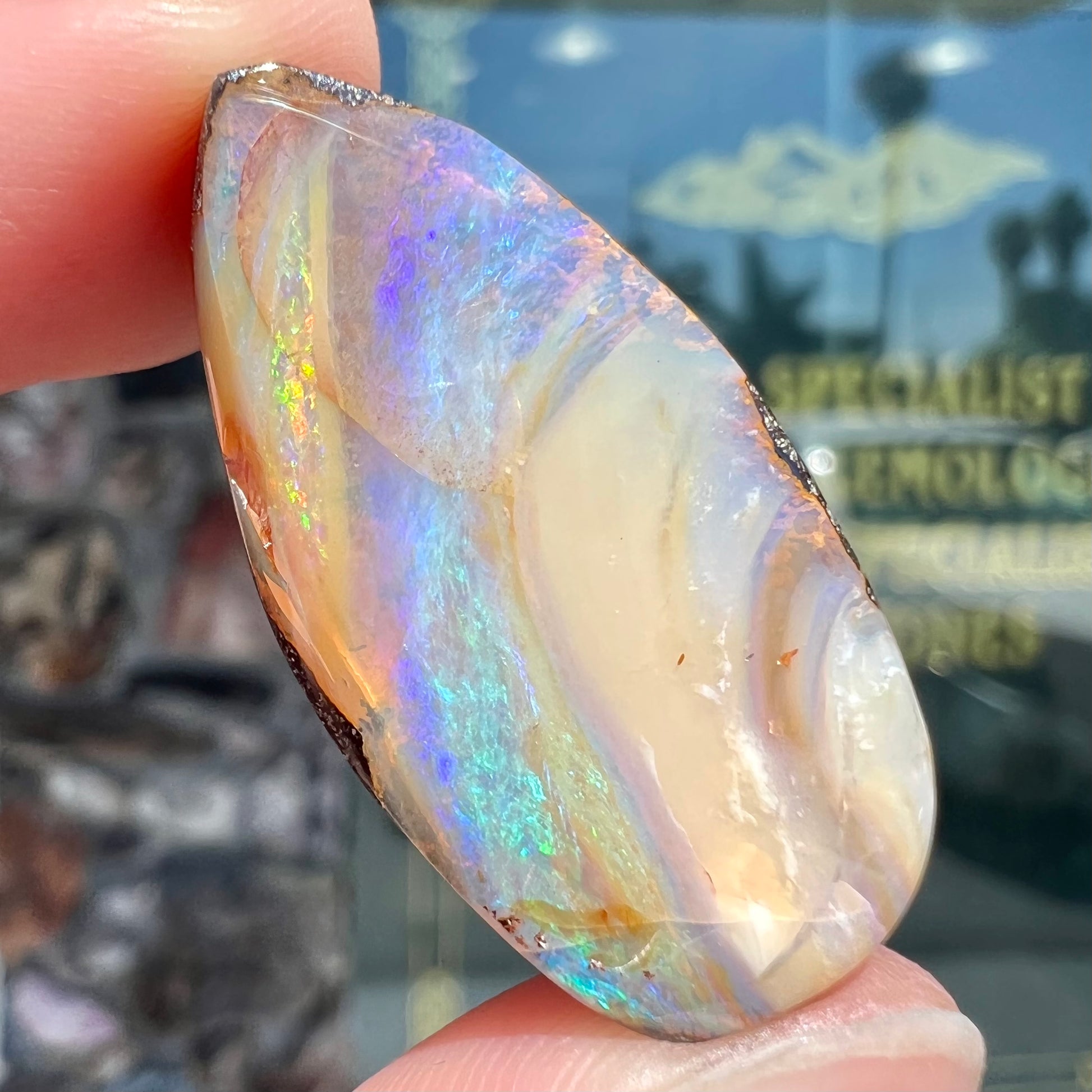 A loose, pear shaped cabochon cut boulder opal stone from Quilpie, Australia.