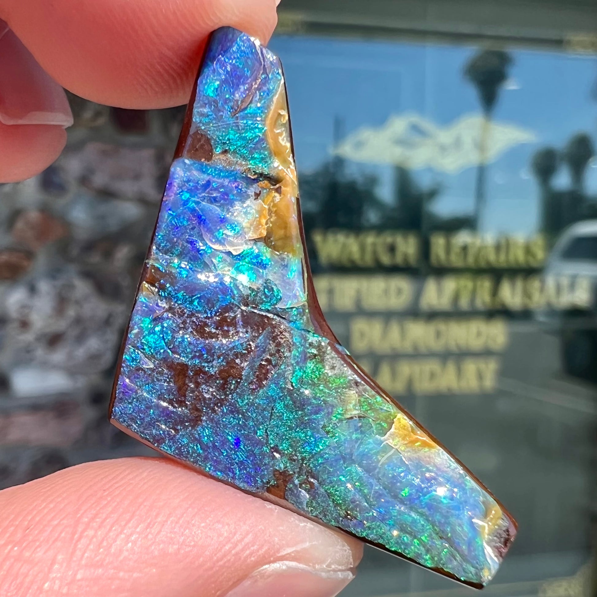 A loose, boomerang shaped boulder opal stone from Quilpie, Australia.  The stone is predominantly blue and green.