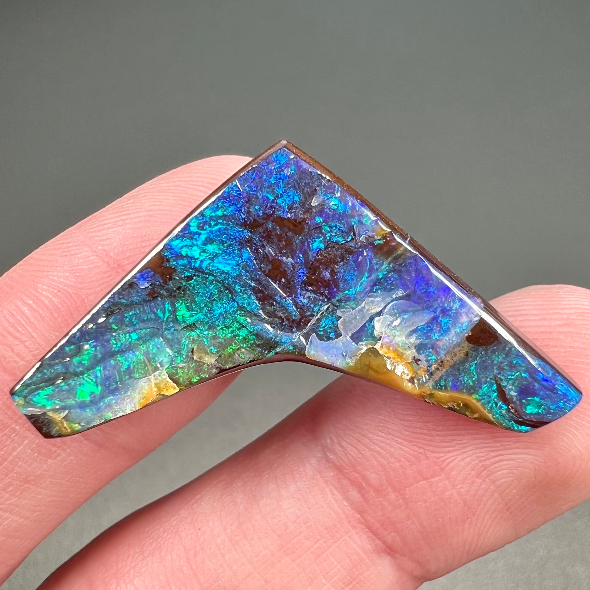 A loose, boomerang shaped boulder opal stone from Quilpie, Australia.  The stone is predominantly blue and green.