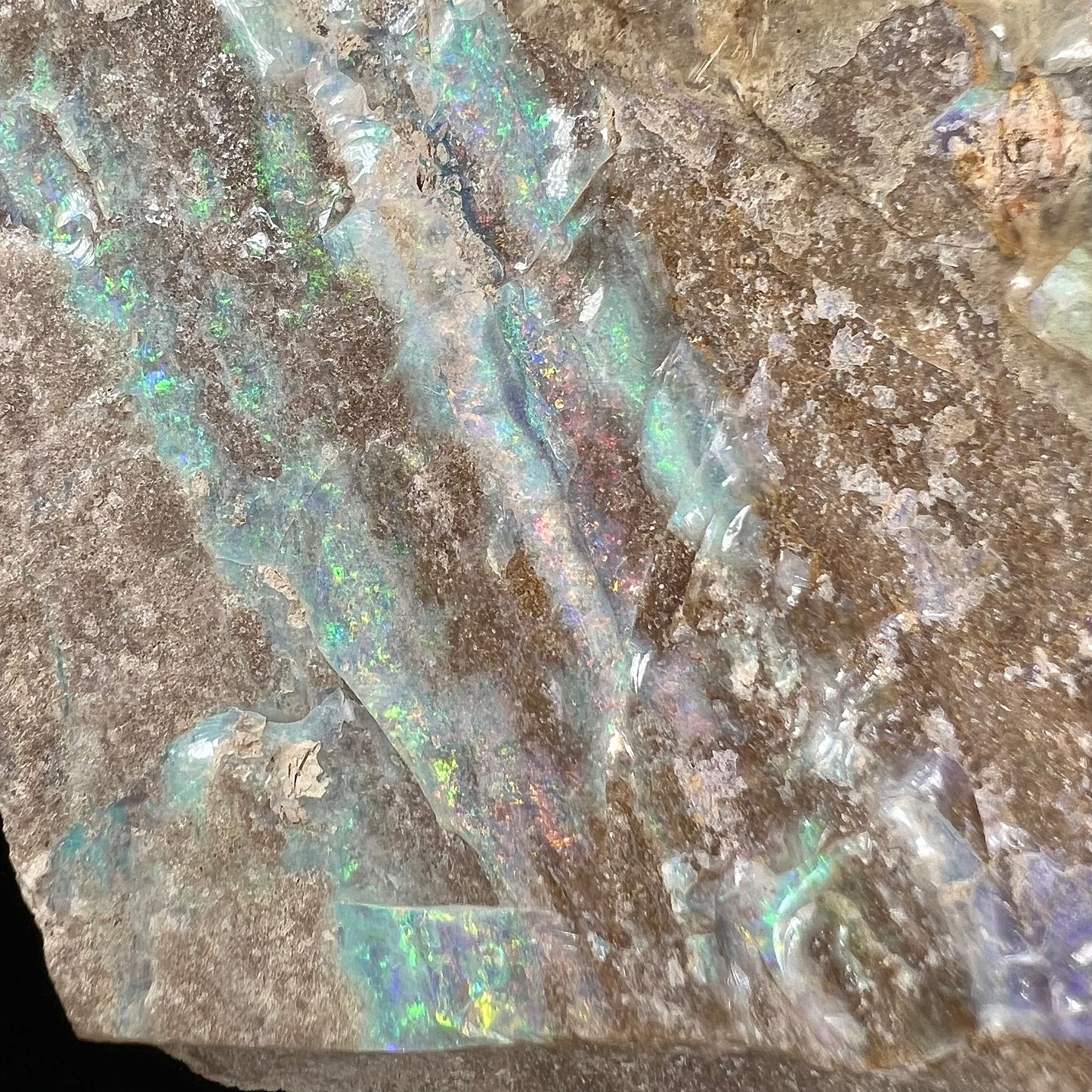 A rough Painted Lady boulder opal specimen that shows blue, green, and pinkish red colors.