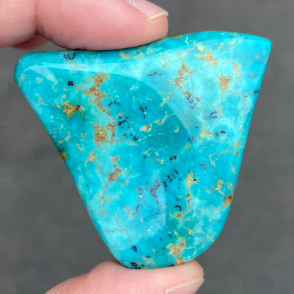 Turquoise #4 | Pilot Mountain