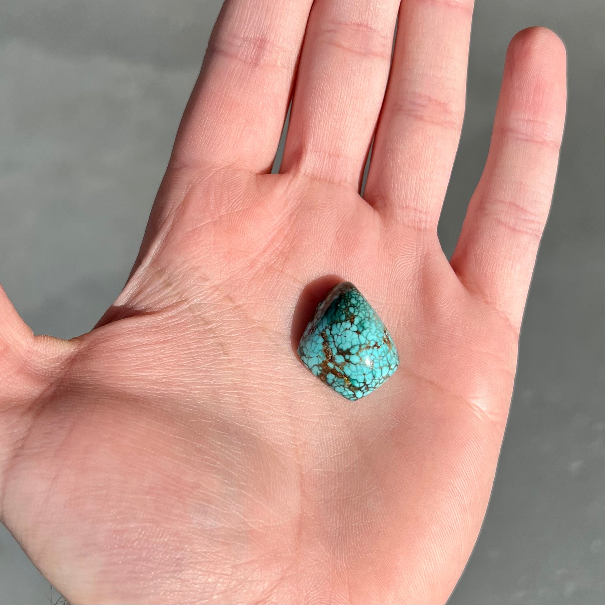 One loose freeform turquoise cabochon from the Number 8 Mine.
