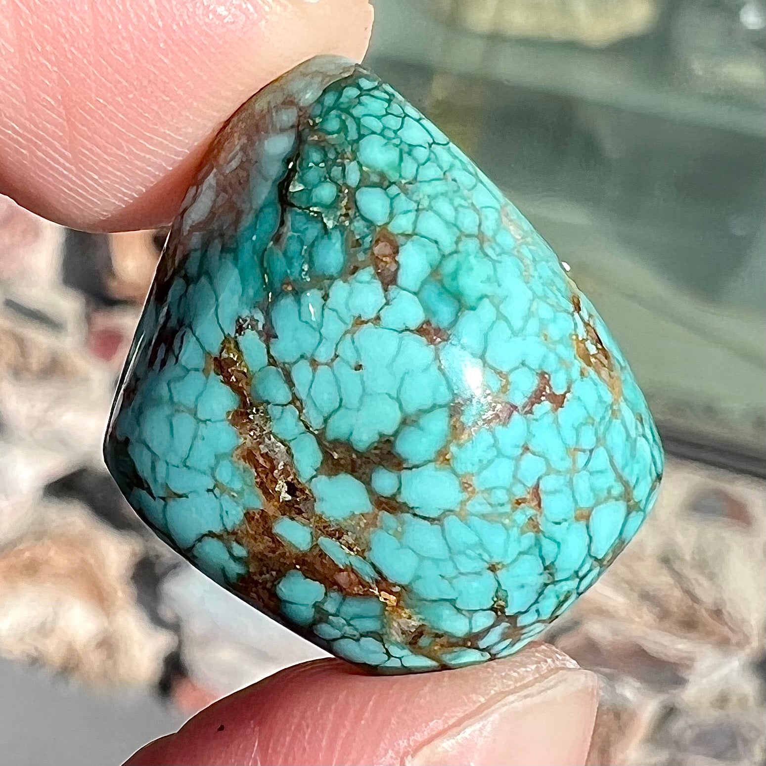 One loose freeform turquoise cabochon from the Number 8 Mine.