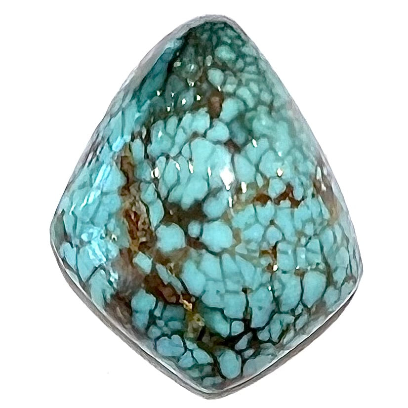 One loose freeform turquoise cabochon from the Number 8 Mine.