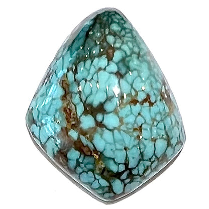 One loose freeform turquoise cabochon from the Number 8 Mine.