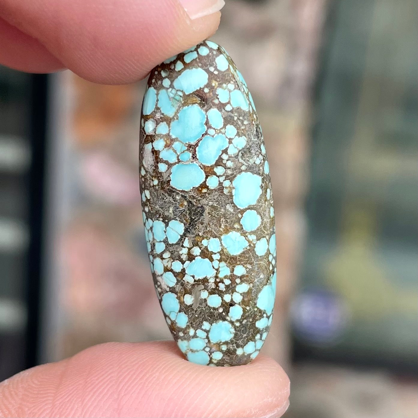 A loose, oval cabochon cut turquoise stone from the Number 8 Mine in Lander County, Nevada.