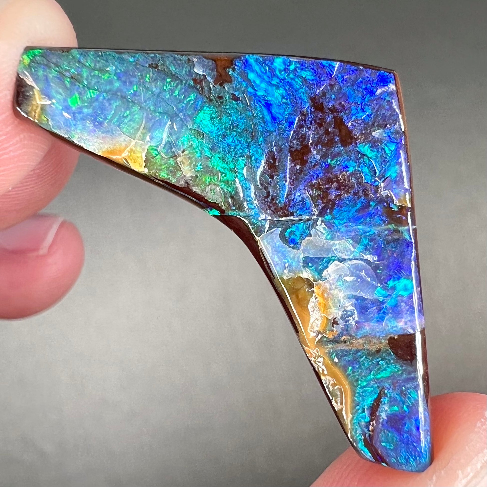 A loose, boomerang shaped boulder opal stone from Quilpie, Australia.  The stone is predominantly blue and green.