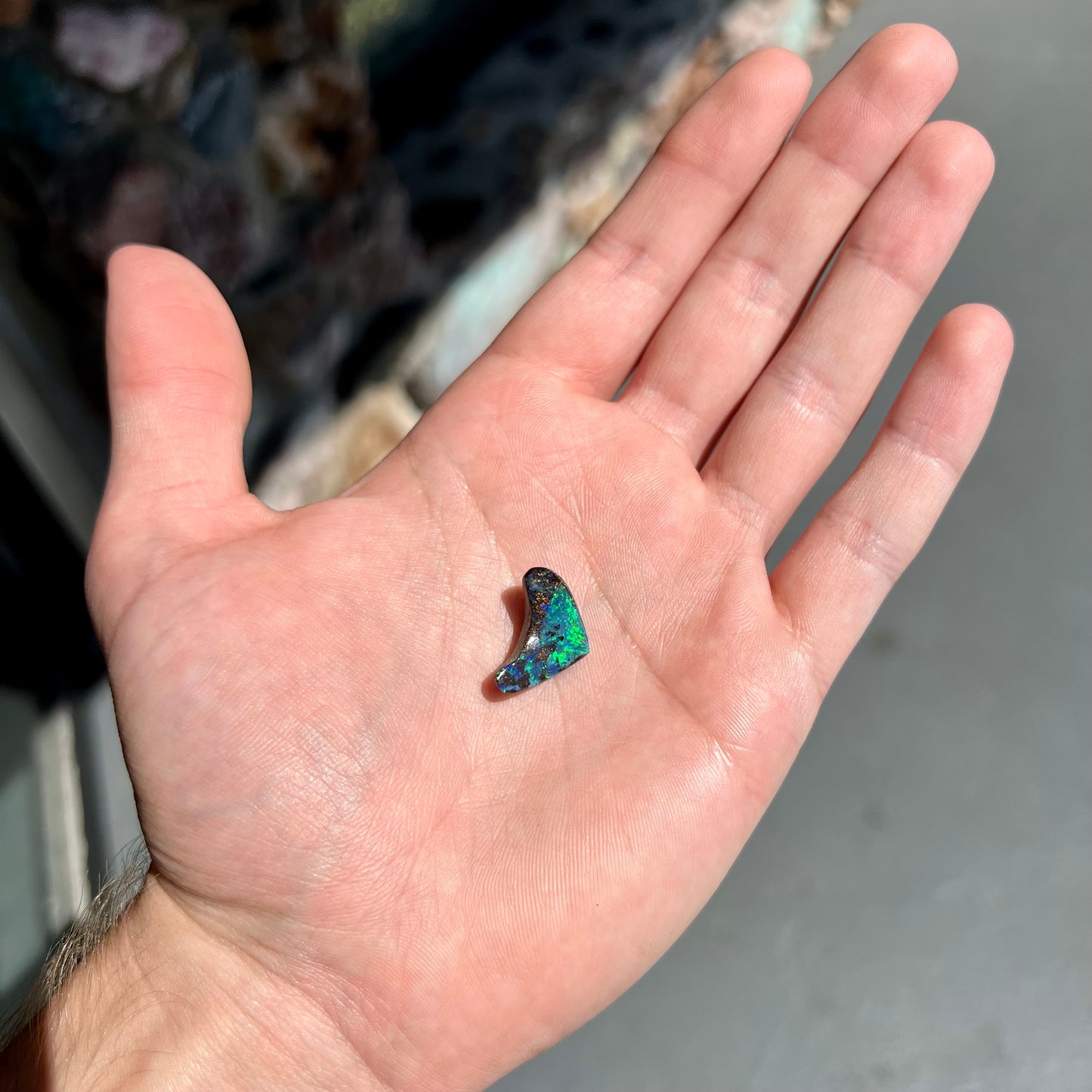 A loose, polished, boomerang shaped boulder opal stone from Queensland, Australia.