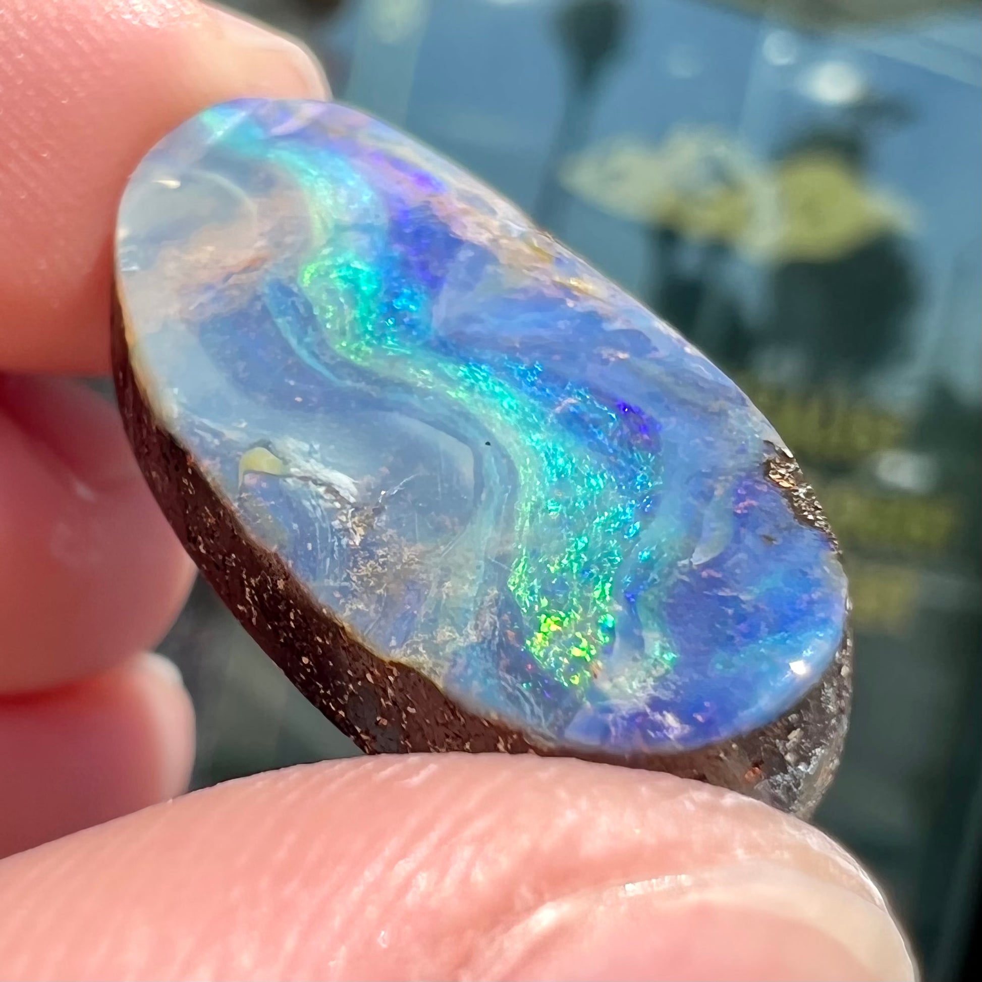 A loose, oval cabochon cut Quilpie boulder opal from Queensland, Australia.  The stone is blue with green fire.