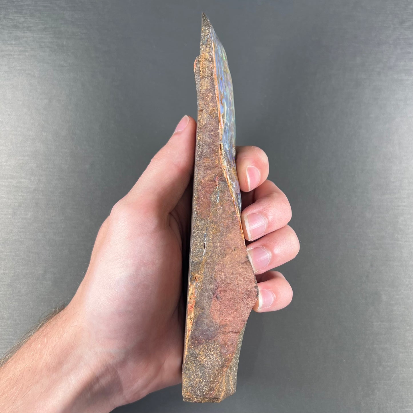 A 7 inch long, polished Quilpie boulder opal specimen.  The stone shows colors of blue, green, and orange.