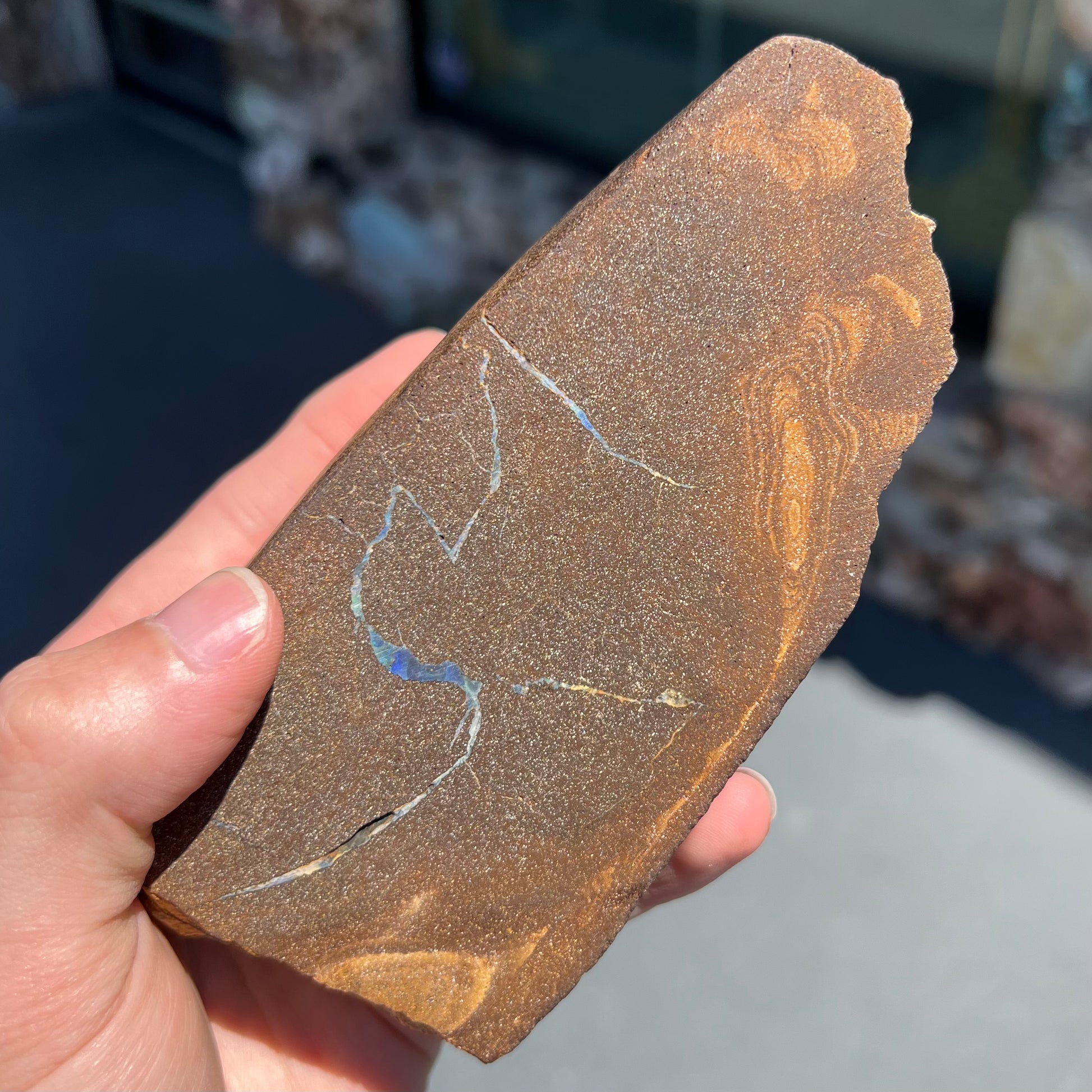 A polished Quilpie boulder opal specimen.  The stone has a stripe of bright blue, green, and purple.