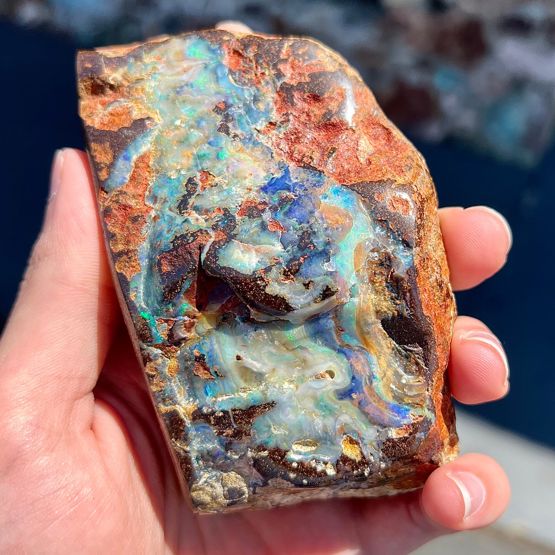 A hand-sized, polished Quilpie boulder opal specimen.  The stone shows blue, green, and orange flashes.