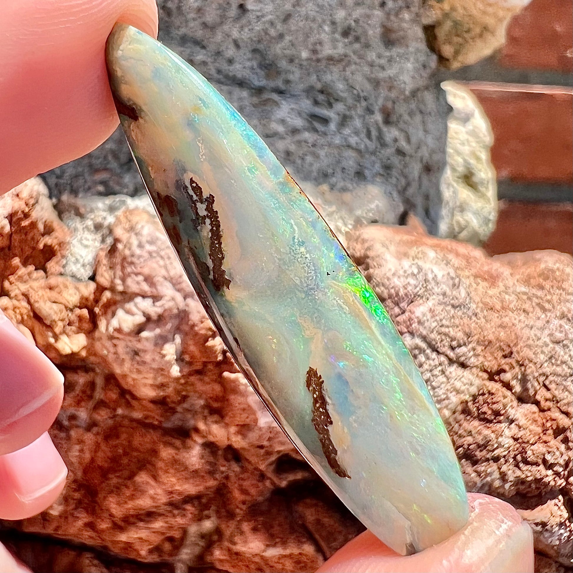 A loose, polished, point shape Quilpie boulder opal stone from Queensland, Australia.