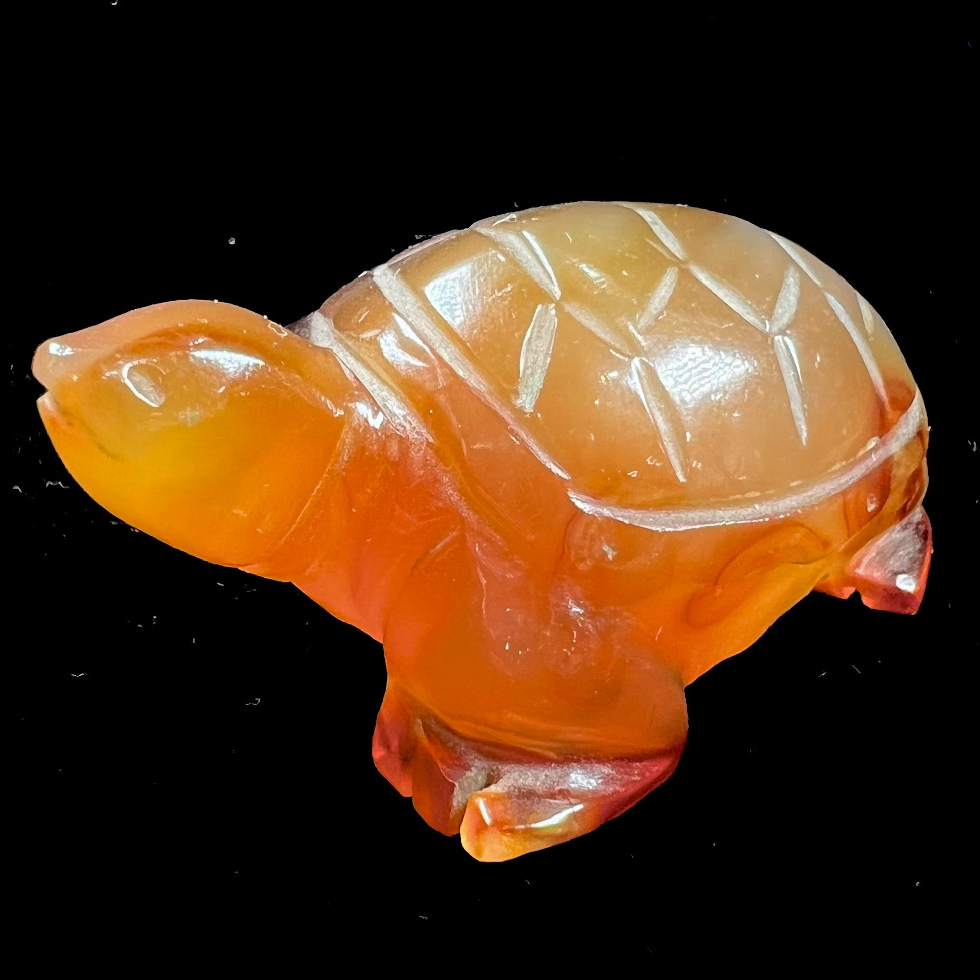 A stone turtle carved from orange carnelian agate.
