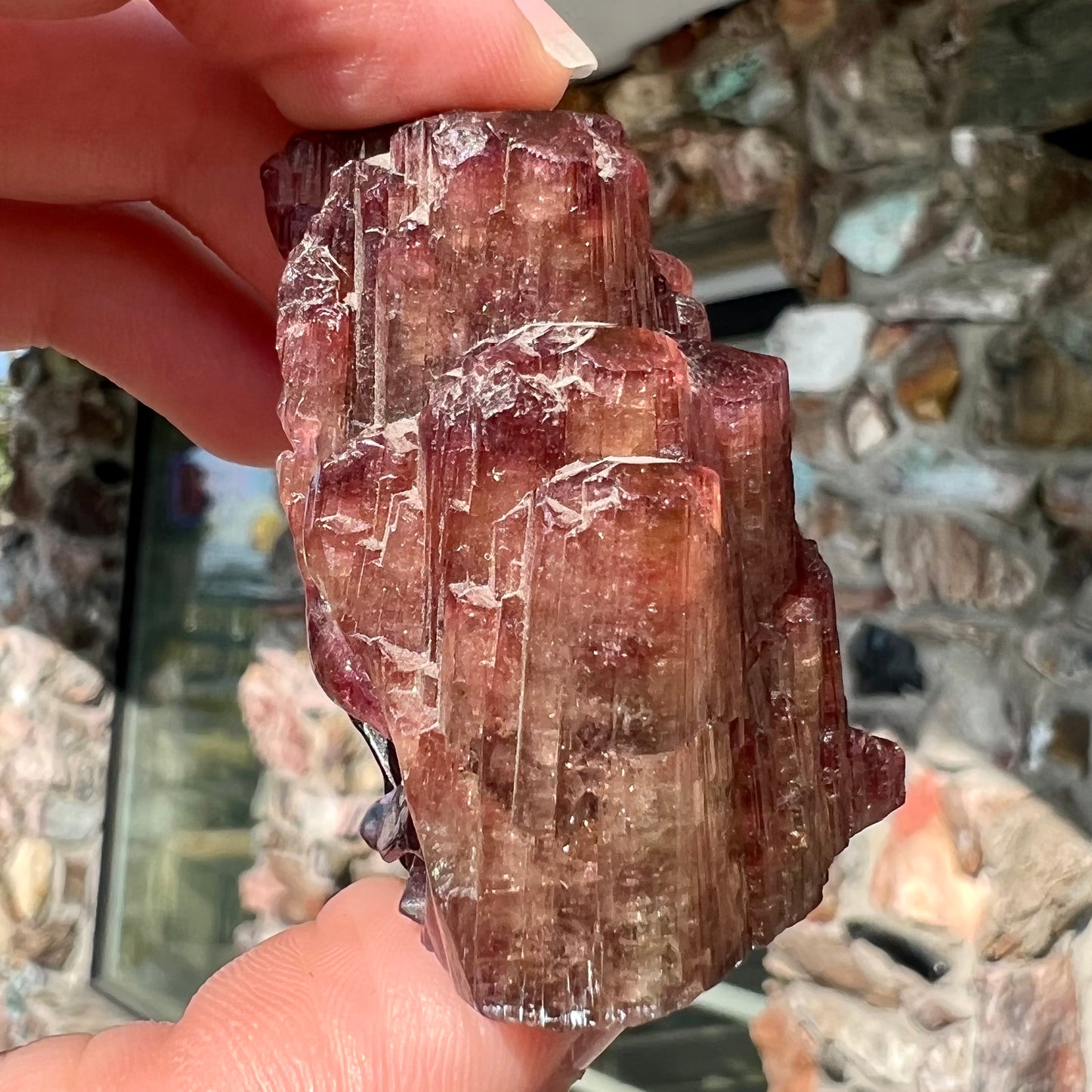 A scene of two dolphins and a starfish carved by artist, Ronald Stevens, from liddicoatite tourmaline crystal.