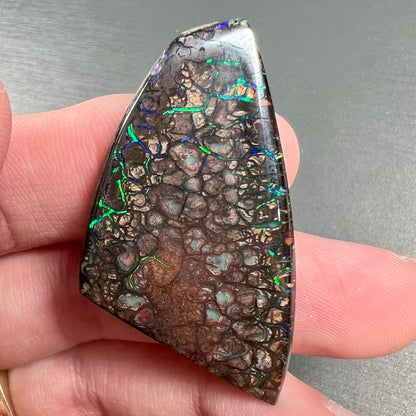 A loose, freeform cut polished Koroit boulder opal stone from Koroit Mining District, Australia.