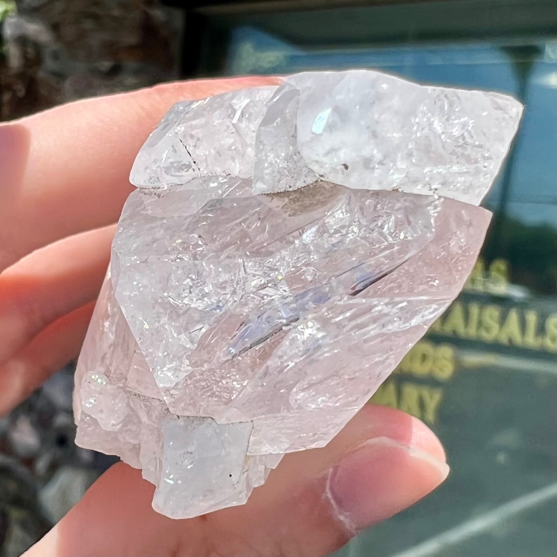 A 3.6 inch long pink danburite crystal specimen.  There are five twinned crystals coming off of a larger crystal.
