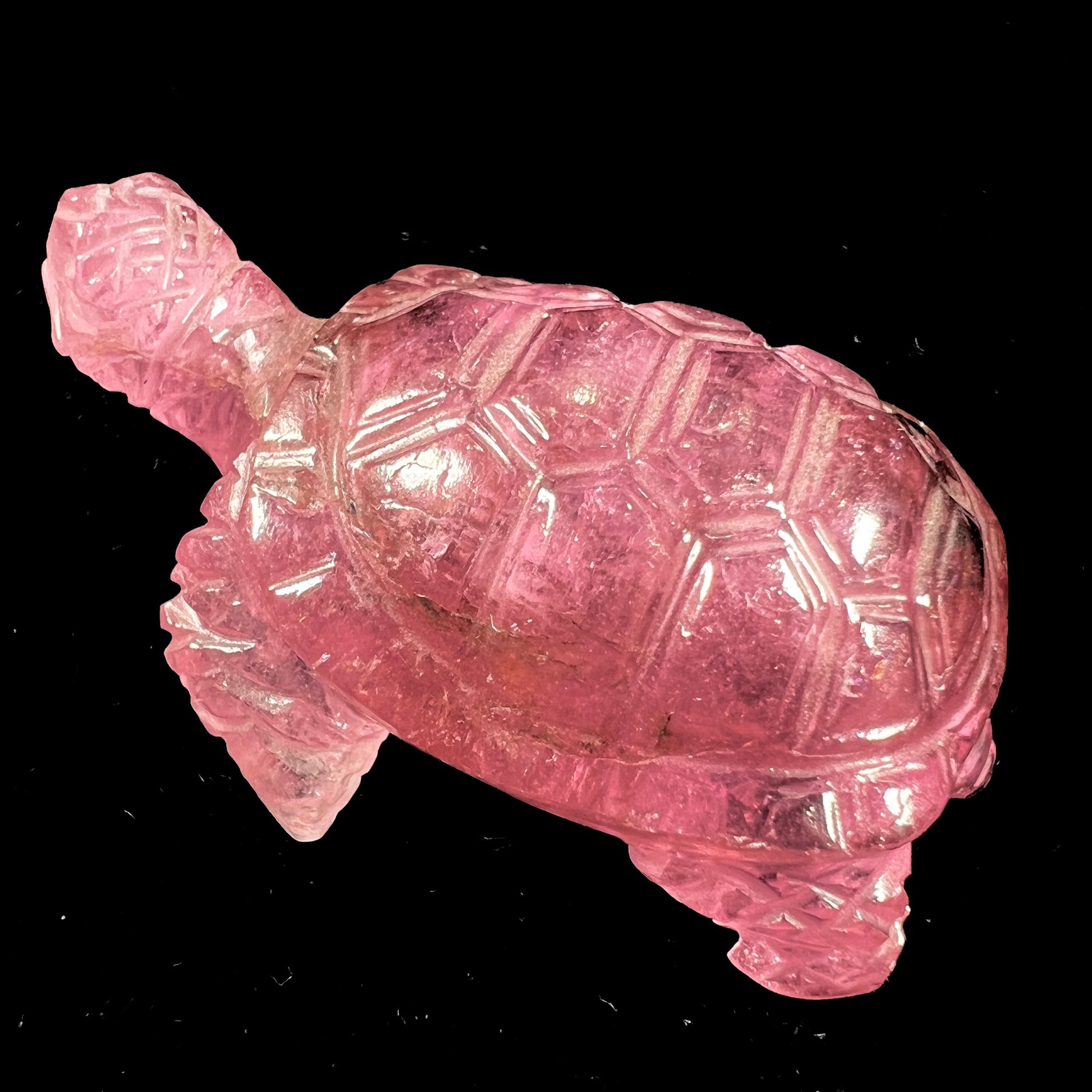 A crystal turtle carved from a pink tourmaline stone.