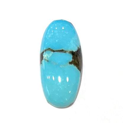 Turquoise #159 | Pinto Valley