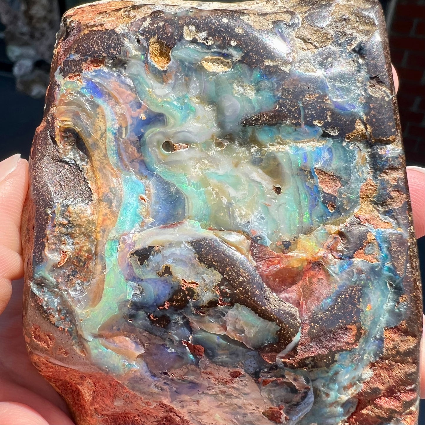 A hand-sized, polished Quilpie boulder opal specimen.  The stone shows blue, green, and orange flashes.