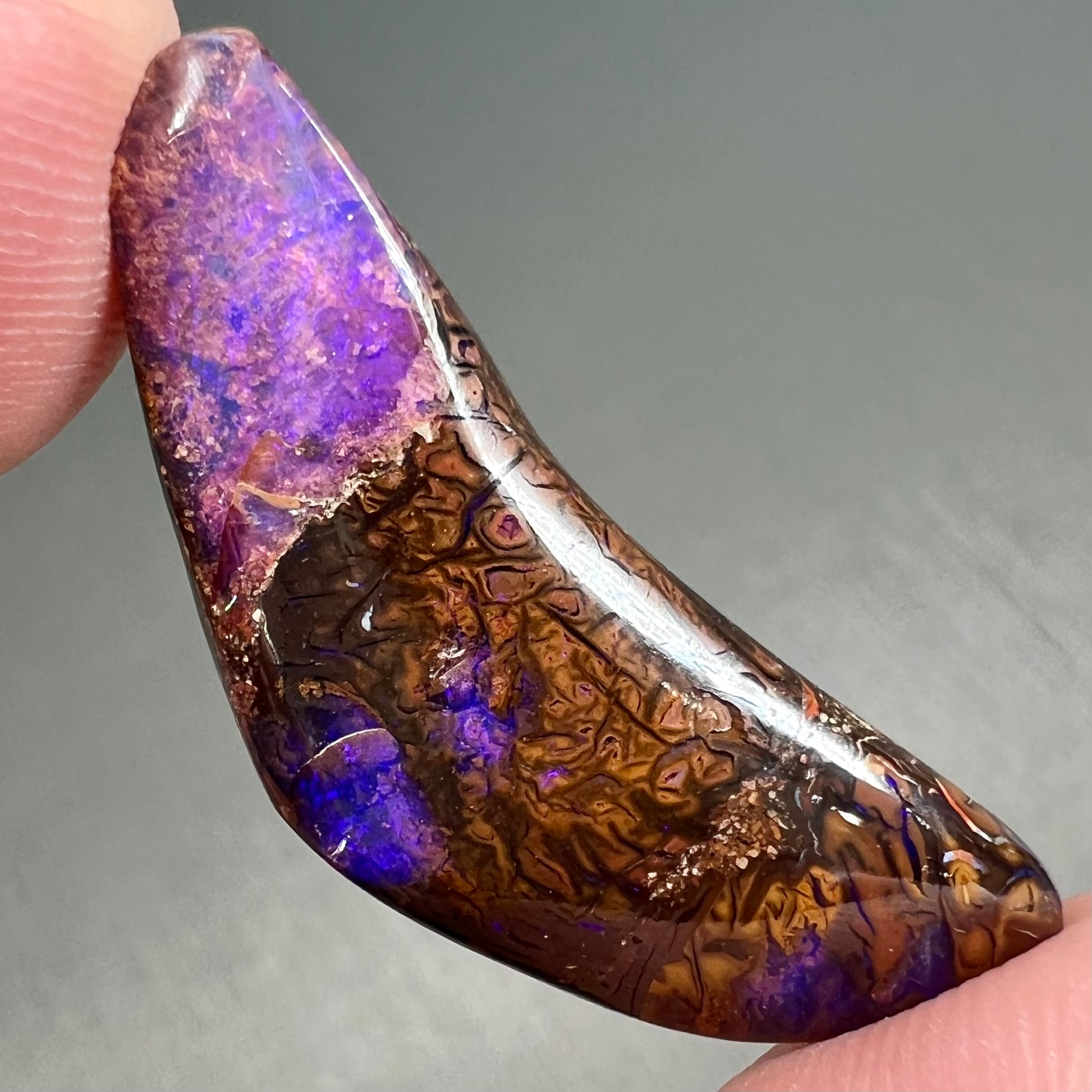A loose boomerang shaped purple boulder opal stone from Quilpie, Australia.