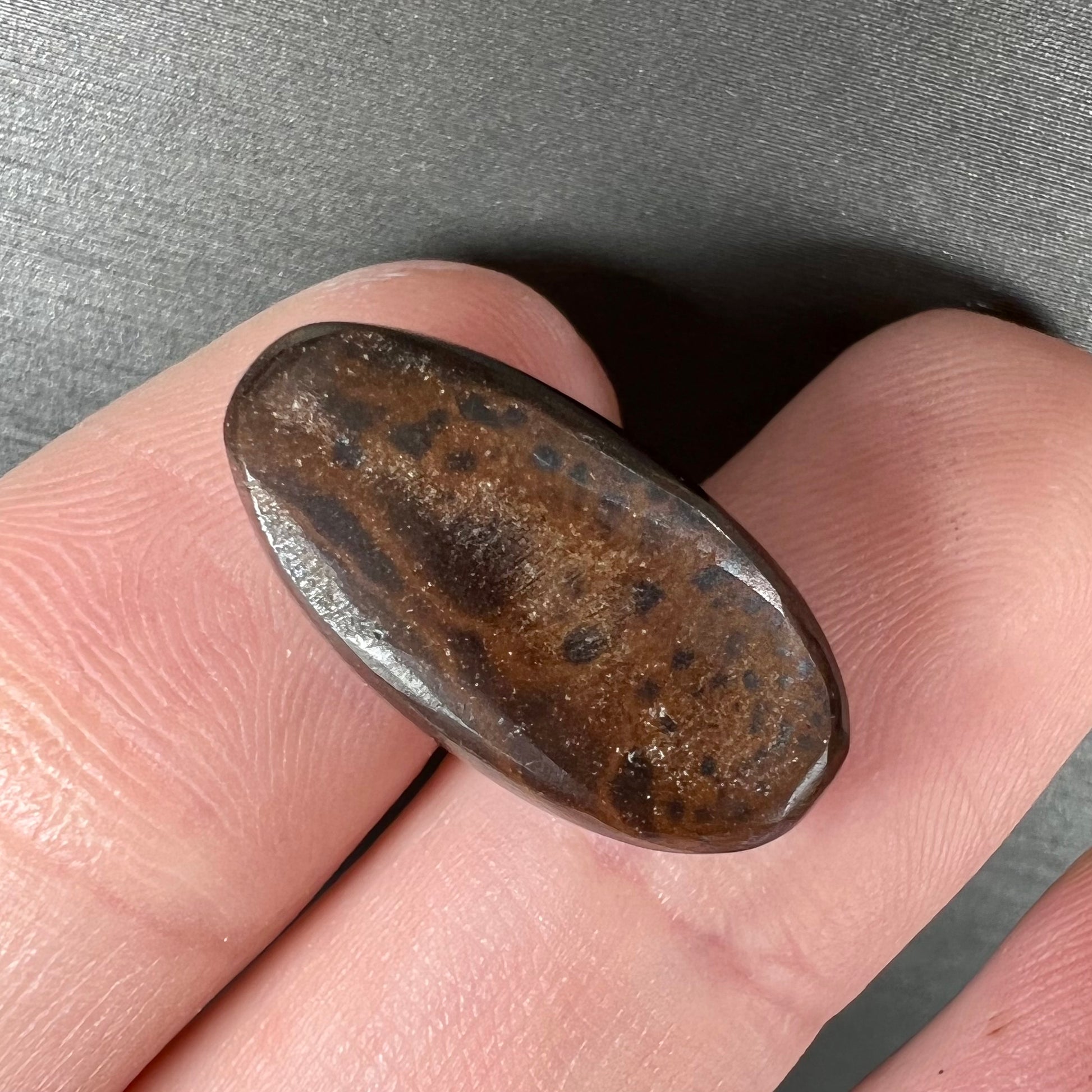 A loose, oval cabochon cut black boulder opal stone from Quilpie, Australia.