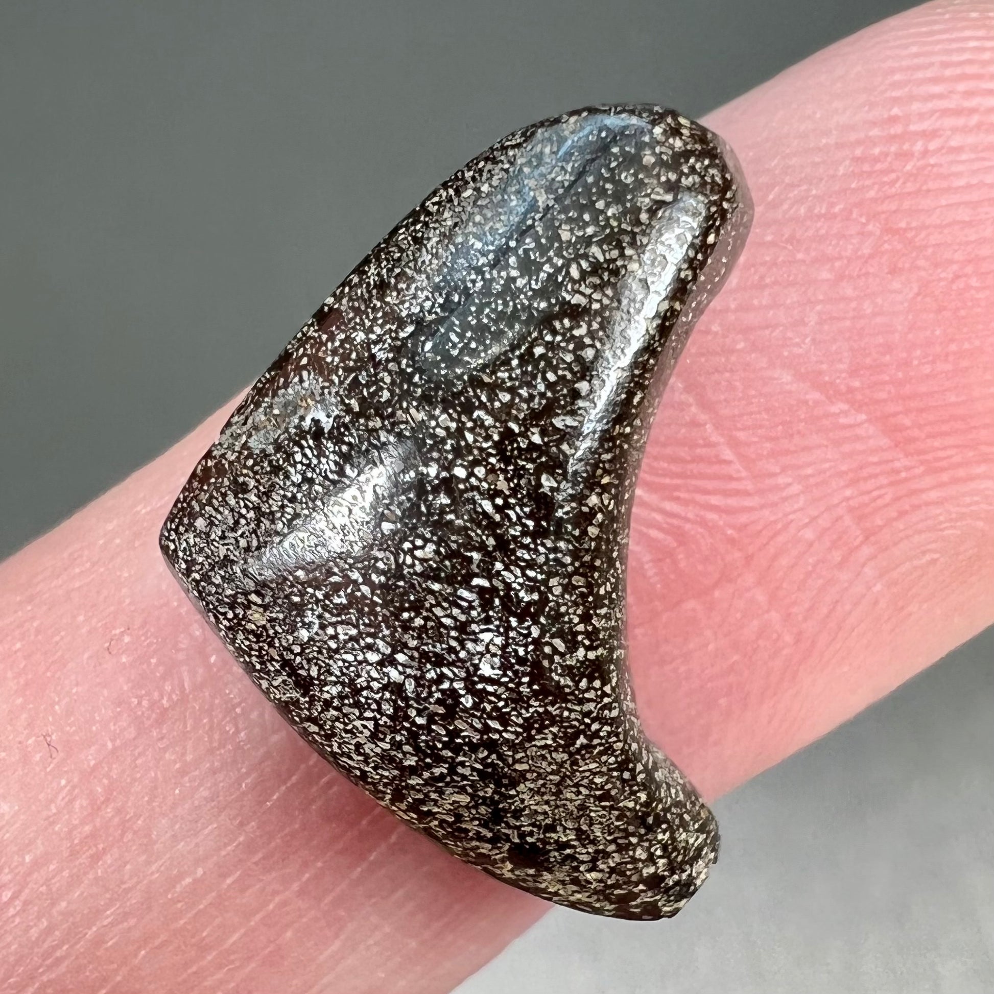 A loose, polished, boomerang shaped boulder opal stone from Queensland, Australia.