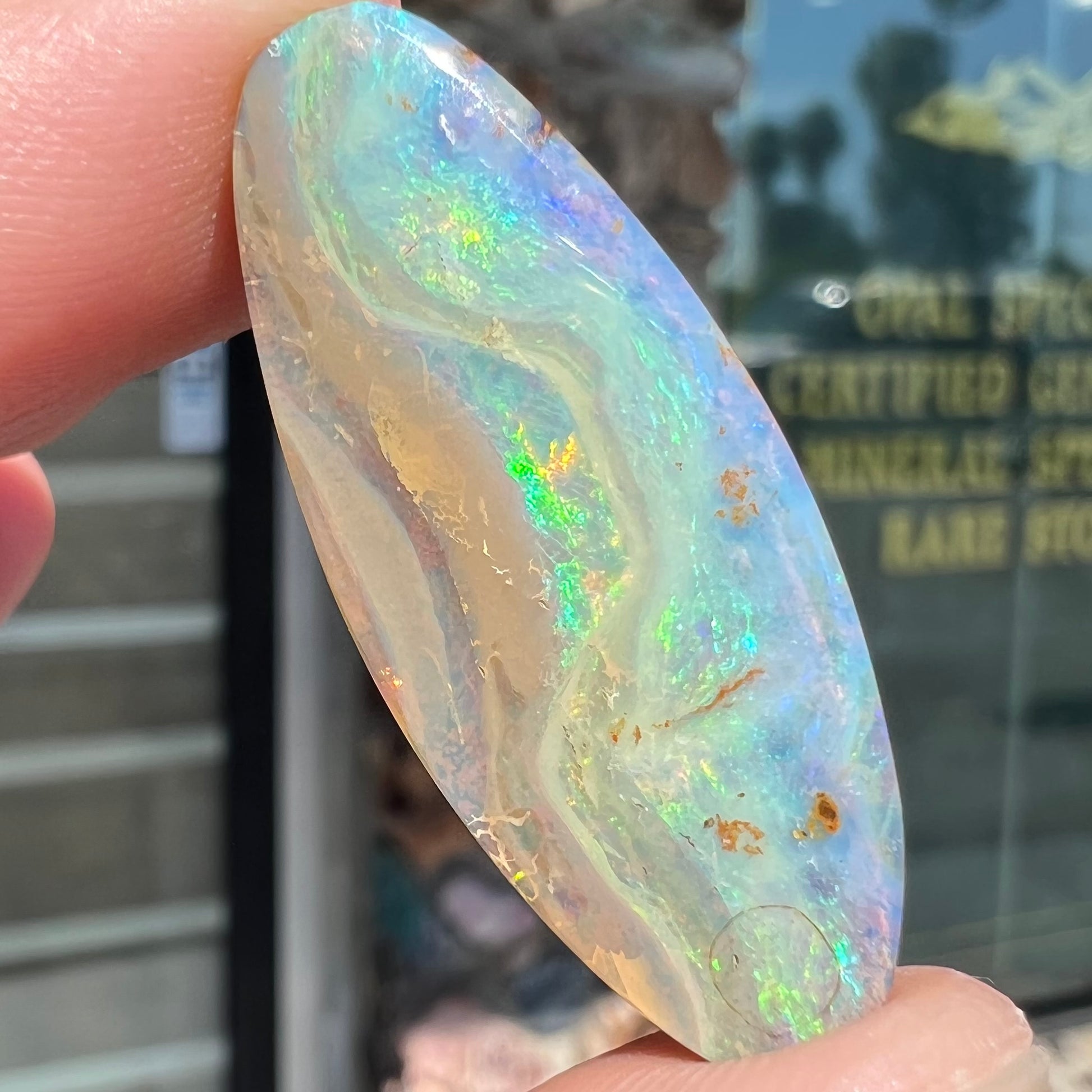 A loose, oval cabochon cut opal from Quilpie, Australia.  Blue, red, and green colors can be seen.