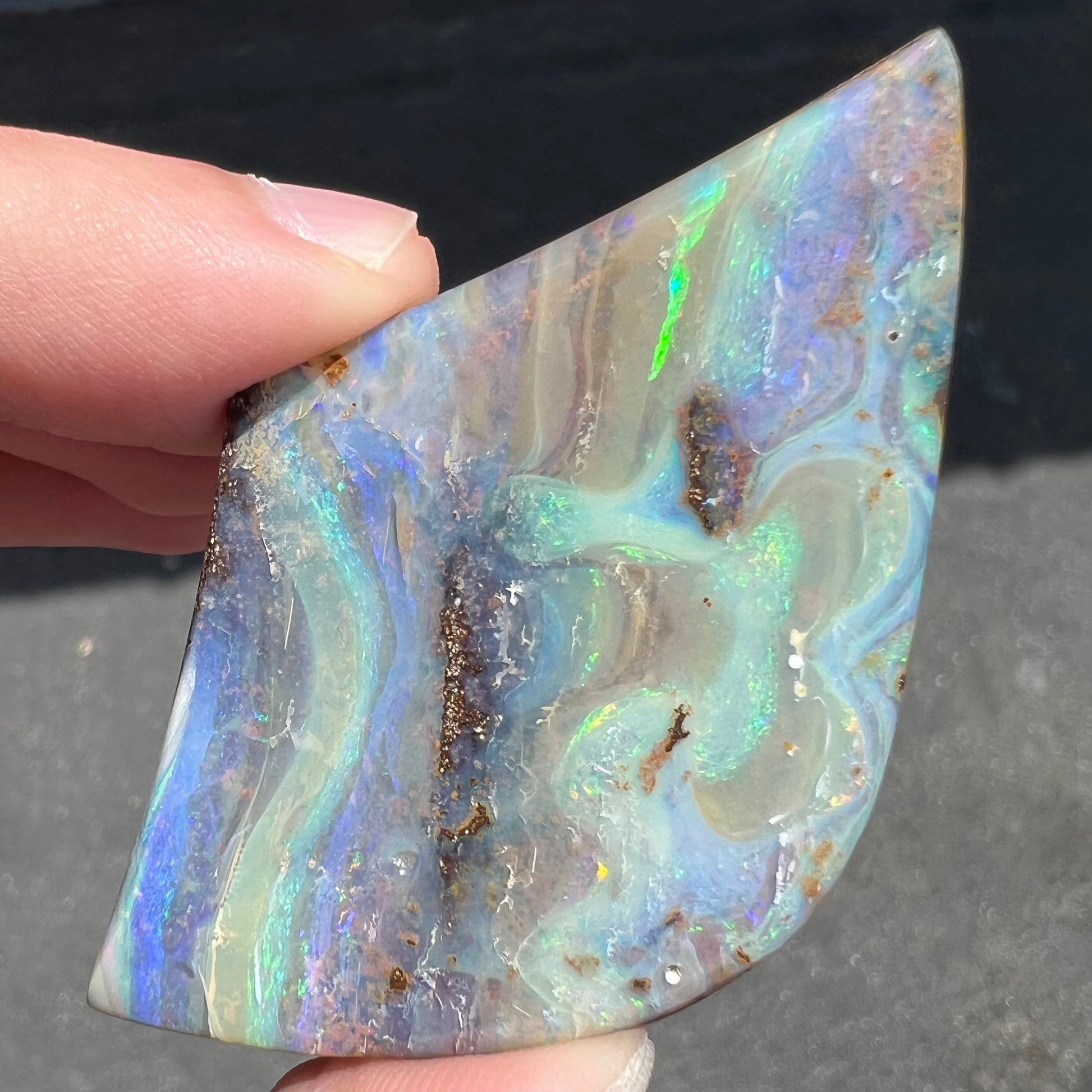Polished Quilpie Boulder Opal Specimen Burton's - Main Image