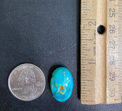 Loose Pilot Mountain turquoise with a pattern of brown matrix spots that resembles a star.  星绿松石