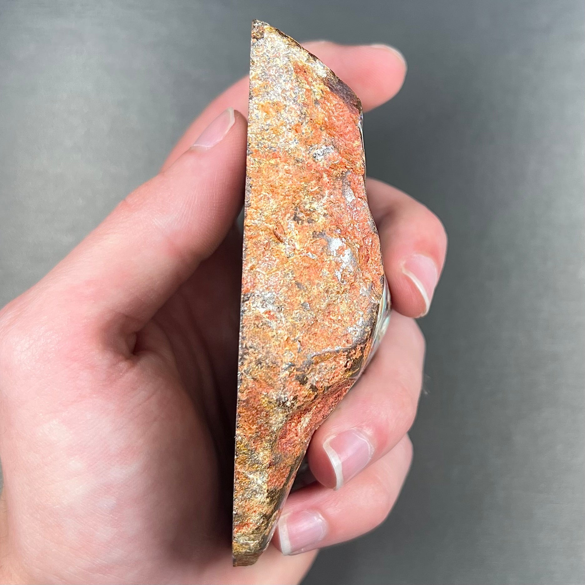 A hand-sized, polished Quilpie boulder opal specimen.  The stone shows blue, green, and orange flashes.