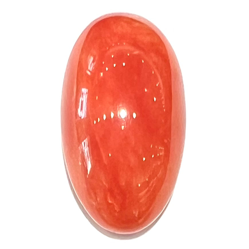 A large, loose red-orange coral cabochon that measures 1.2 inches by 0.7 inches.