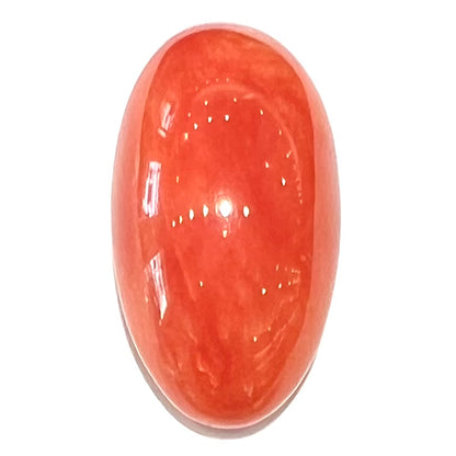 A large, loose red-orange coral cabochon that measures 1.2 inches by 0.7 inches.
