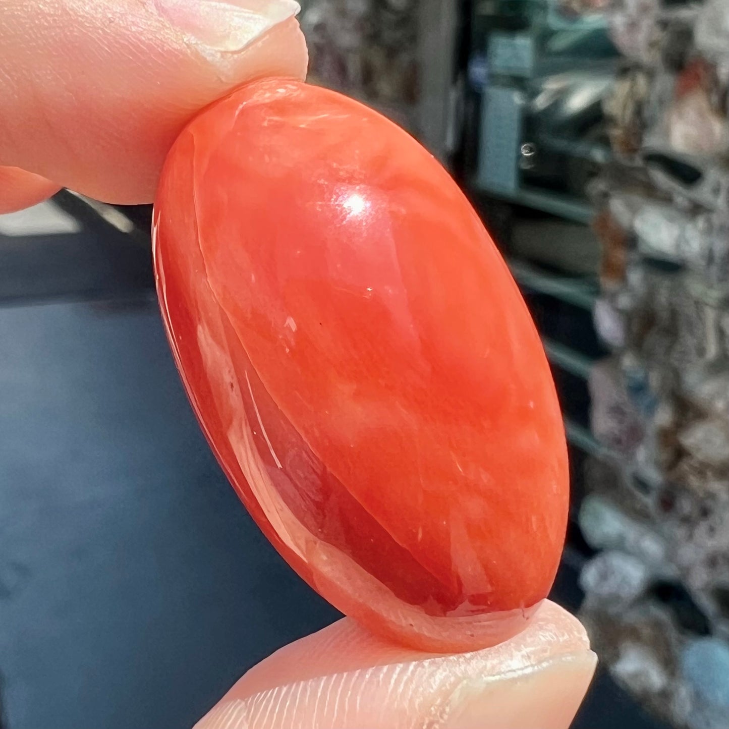 A large, loose red-orange coral cabochon that measures 1.2 inches by 0.7 inches.