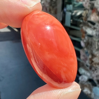 A large, loose red-orange coral cabochon that measures 1.2 inches by 0.7 inches.