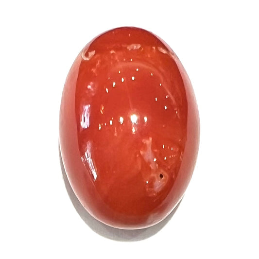 A large, loose red coral cabochon that measures 1 inch by 0.7 inches.