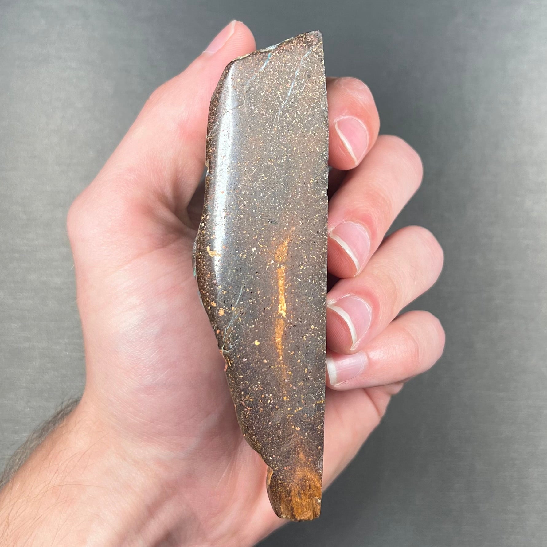 A hand-sized, polished Quilpie boulder opal specimen.  The stone shows blue, green, and orange flashes.