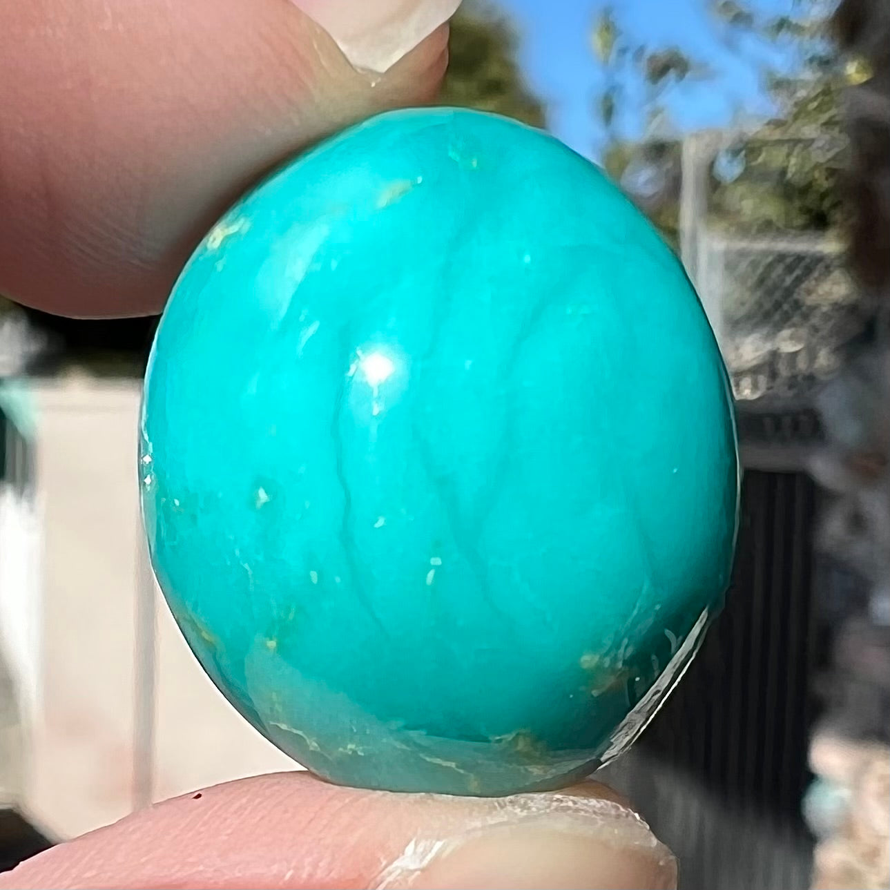 An oval cabochon cut blue turquoise stone from Royston District, Nevada.