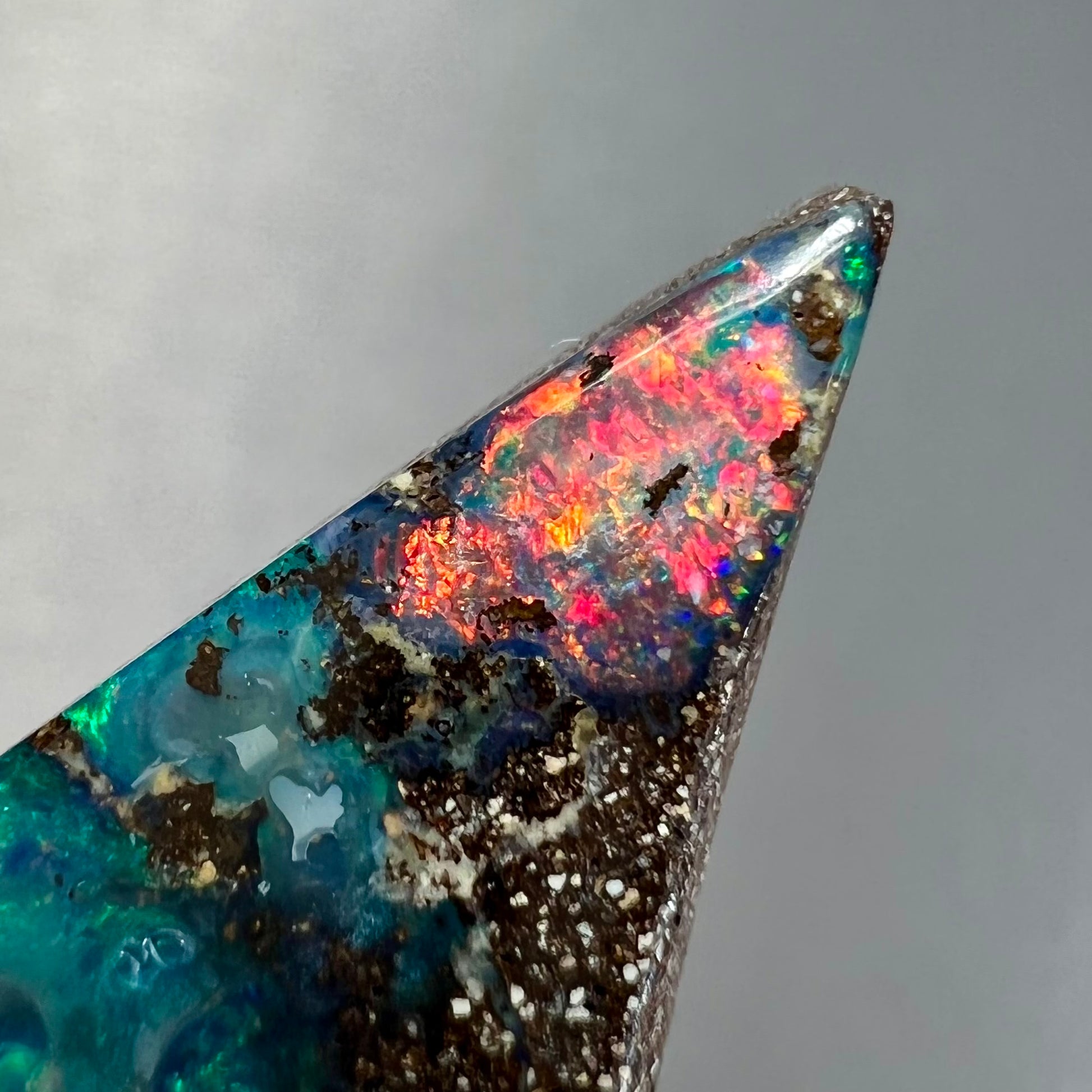 A loose Quilpie boulder opal stone.  The stone is blue and has a bright rainbow tip.