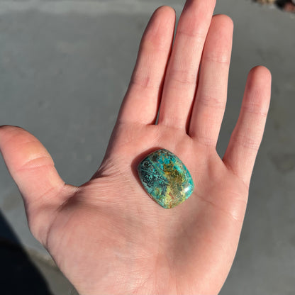 Loose turquoise with chrysocolla cabochon from Mohave County, Arizona.