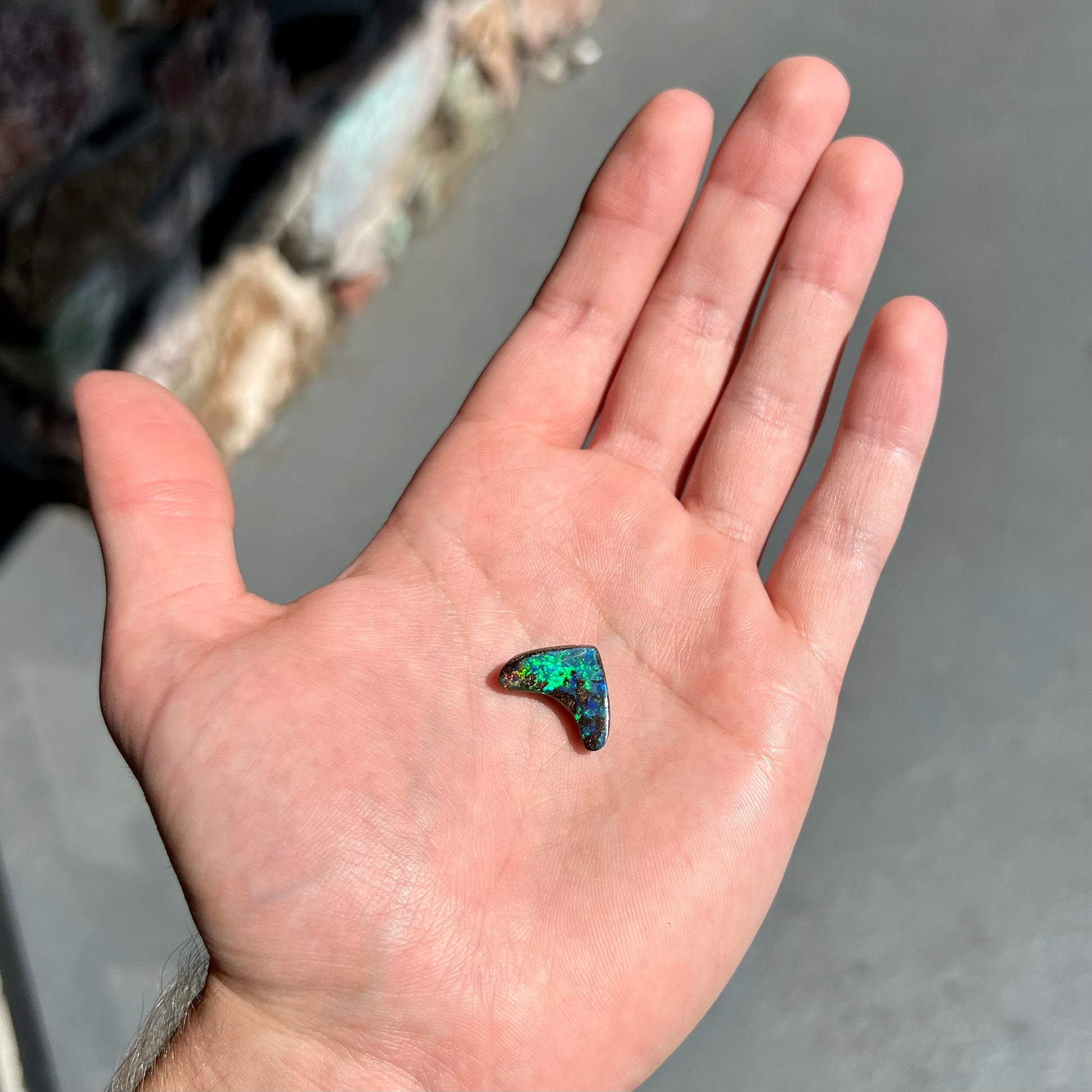 A loose, polished, boomerang shaped boulder opal stone from Queensland, Australia.