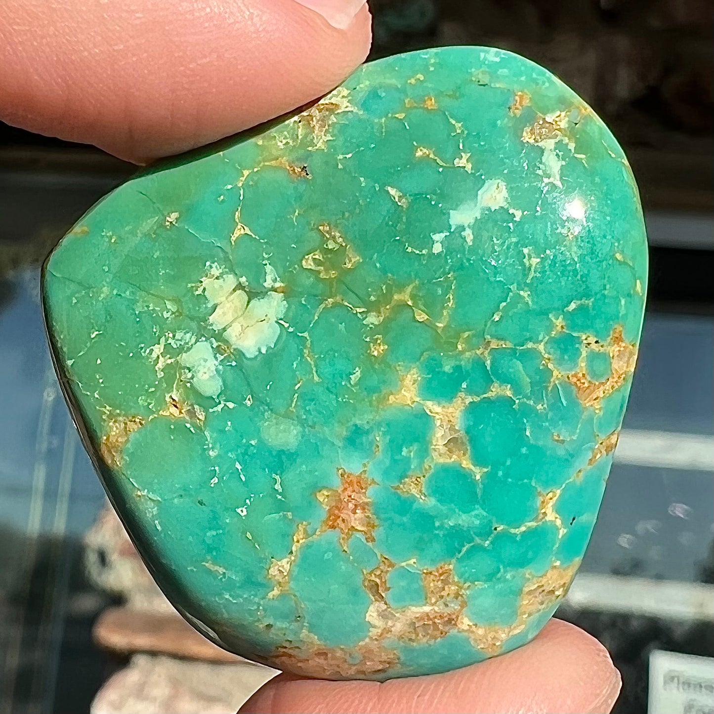 A loose polished greenish blue turquoise stone from Manassa, Colorado.