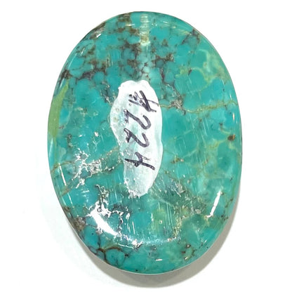 Turquoise #224 | Tyrone