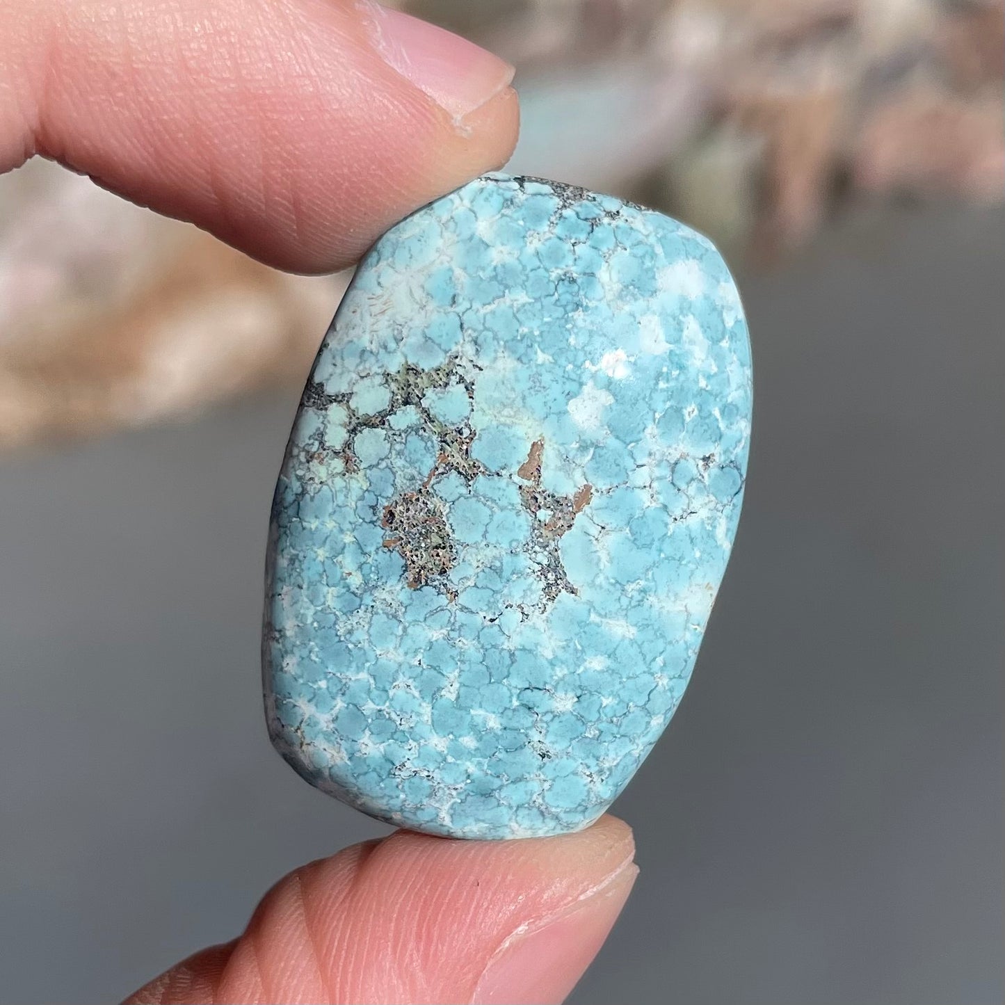 A loose, barrel cabochon cut turquoise stone from Baja California.  The piece is light blue with a gray matrix.