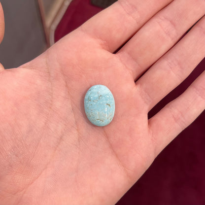 Turquoise #229 | Sleeping Beauty