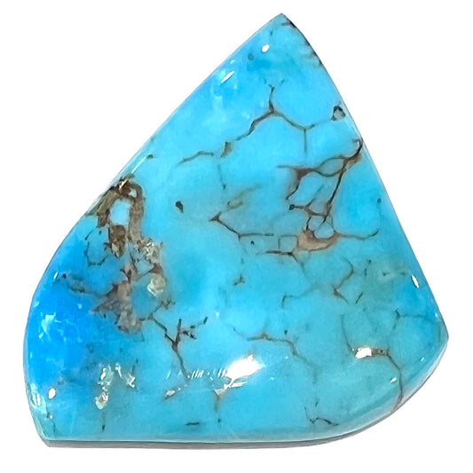 A loose, polished freeform piece of blue turquoise from the Sleeping Beauty Mine in Arizona.